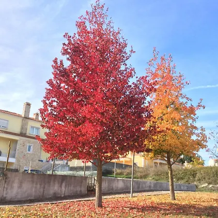 Vendégház Templar Secrets House *