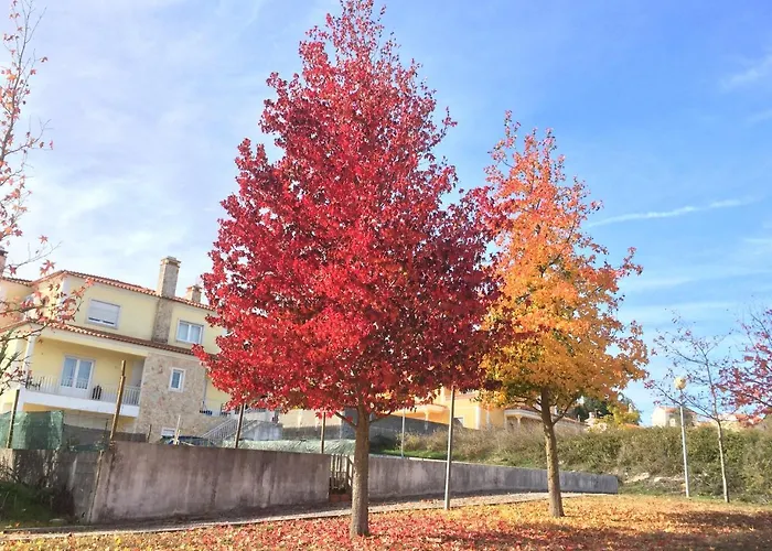 Vendégház Templar Secrets House *