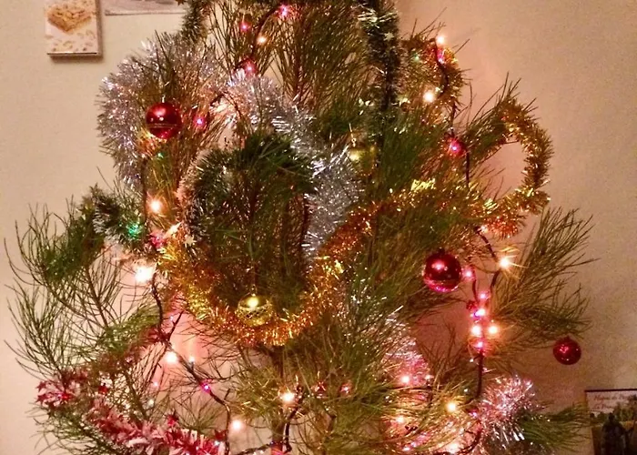 Templar Secrets House *